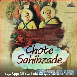 Chote Sahibzade