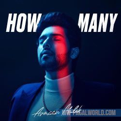 How Many - Armaan Malik