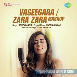 Vaseegara And Zara Zara Mashup