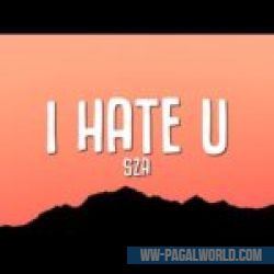 I Hate You Sza