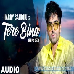 Tere Bina - Harrdy Sandhu