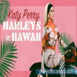 Harleys In Hawaii Ringtone