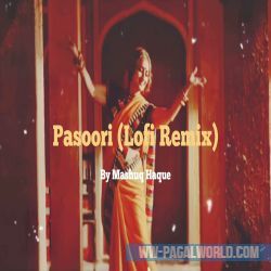Pasoori (Lofi remix)