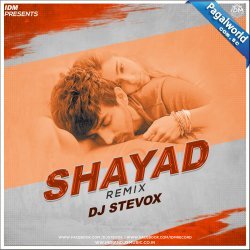 Shayad (Remix)