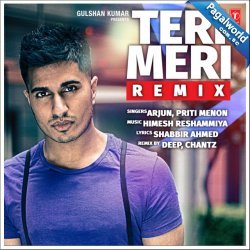 Teri Meri (Remix)