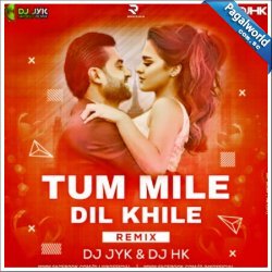 Tum Mile Dil Khile (Remix)