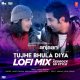 Tujhe Bhula Diya Lofi Mix
