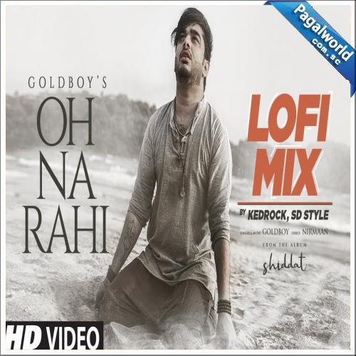Oh Na Rahi Lofi Mix