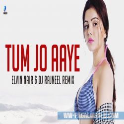 Tum Jo Aaye (Remix) Elvin Nair, DJ Rajneel