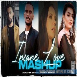 Insane Love Mashup 2021 - DJ Harsh Sharma