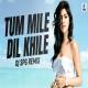 Tu Mile Dil Khile (Remix)