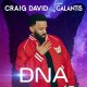 DNA Craig David