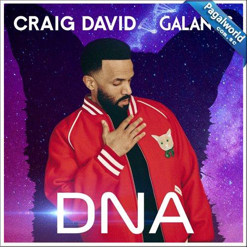 DNA Craig David