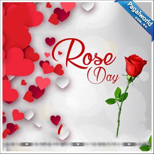 Rose Day Special Mashup