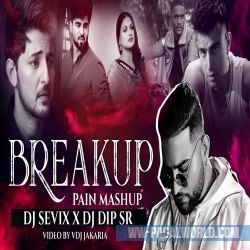 Breakup Pain Mashup 2022 - DJ Sevix X Dip SR
