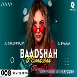 Baadshah O Baadshah Remix - DJ Shadow Dubai, Dj Dharak