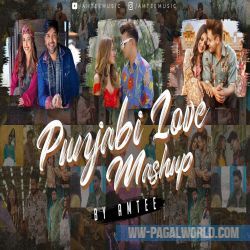 Punjabi Love Mashup 2022 - Amtee