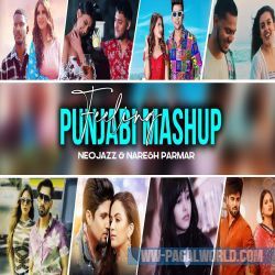 Feeling Punjabi Mashup 2022 - Neojazz, Naresh Parmar