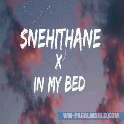 Snehithane X In My Bed Remix