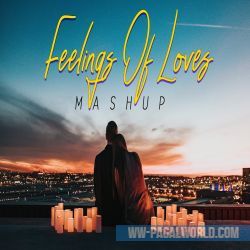 Feelings Of Love Mashup - Dip SR x Jakaria