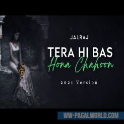 Tera Hi Bas Hona Chahoon Cover
