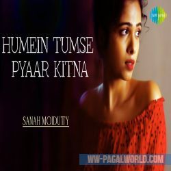 Humein Tumse Pyaar Kitna Cover