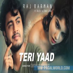 Teri Yaad - Raj Barman