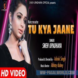 Tu Kya Jaane (Recreated)