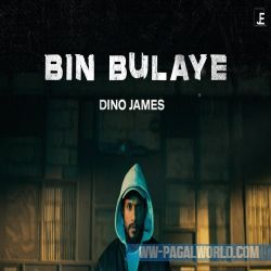 Bin Bulaye